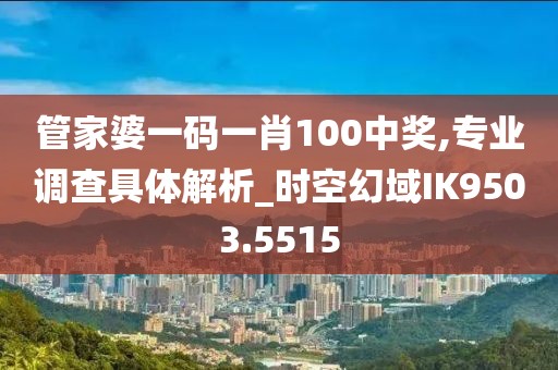 管家婆一碼一肖100中獎,專業(yè)調(diào)查具體解析_時空幻域IK9503.5515