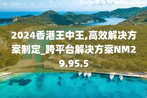 2024香港王中王,高效解決方案制定_跨平臺解決方案NM29.95.5