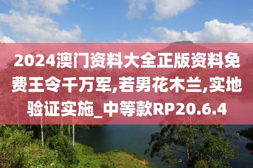 2024澳門資料大全正版資料免費(fèi)王令千萬(wàn)軍,若男花木蘭,實(shí)地驗(yàn)證實(shí)施_中等款RP20.6.4