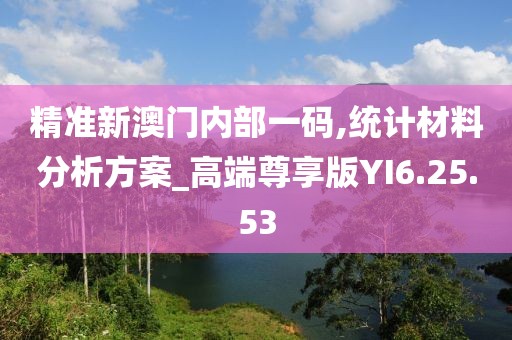 精準(zhǔn)新澳門內(nèi)部一碼,統(tǒng)計材料分析方案_高端尊享版YI6.25.53