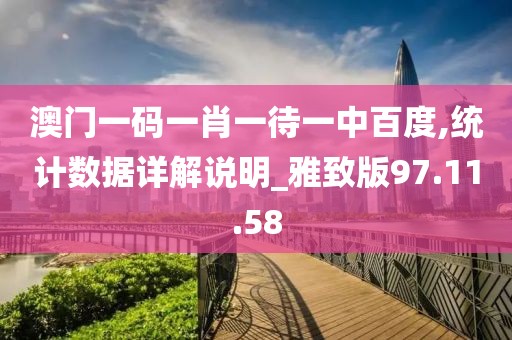 澳門一碼一肖一待一中百度,統(tǒng)計數(shù)據(jù)詳解說明_雅致版97.11.58