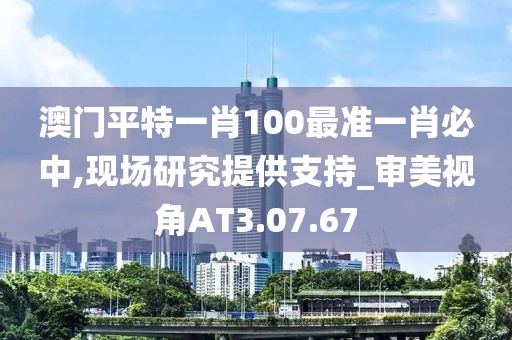 澳門平特一肖100最準(zhǔn)一肖必中,現(xiàn)場(chǎng)研究提供支持_審美視角AT3.07.67
