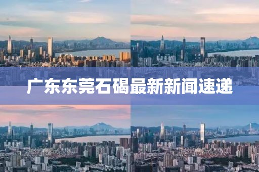廣東東莞石碣最新新聞速遞