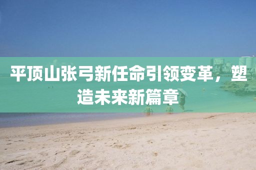 平頂山張弓新任命引領變革，塑造未來新篇章