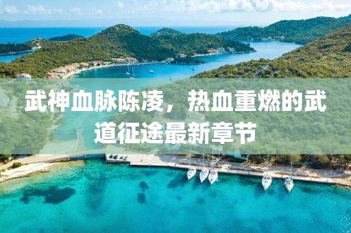 武神血脈陳凌，熱血重燃的武道征途最新章節(jié)