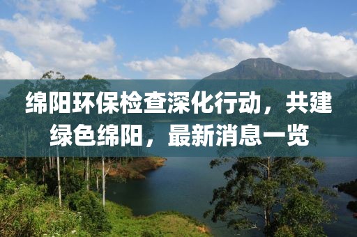 2024年12月21日 第13頁