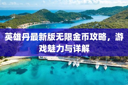 英雄丹最新版無(wú)限金幣攻略，游戲魅力與詳解