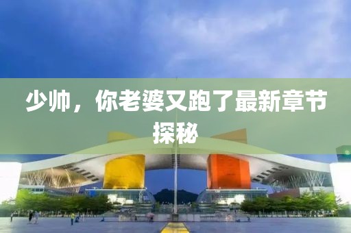 少帥，你老婆又跑了最新章節(jié)探秘