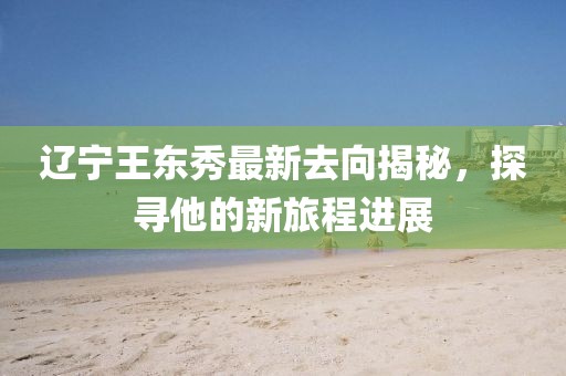 遼寧王東秀最新去向揭秘，探尋他的新旅程進(jìn)展