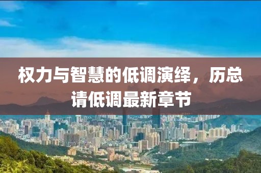 權(quán)力與智慧的低調(diào)演繹，歷總請低調(diào)最新章節(jié)