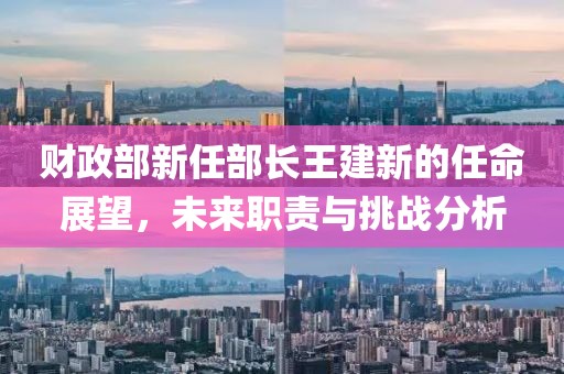 財(cái)政部新任部長(zhǎng)王建新的任命展望，未來職責(zé)與挑戰(zhàn)分析