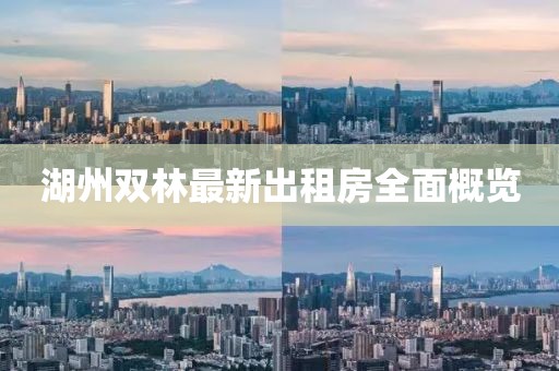 湖州雙林最新出租房全面概覽