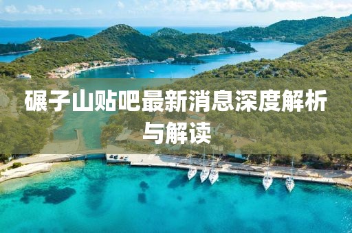 碾子山貼吧最新消息深度解析與解讀