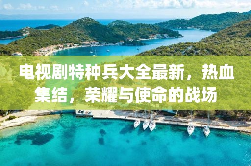 電視劇特種兵大全最新，熱血集結(jié)，榮耀與使命的戰(zhàn)場