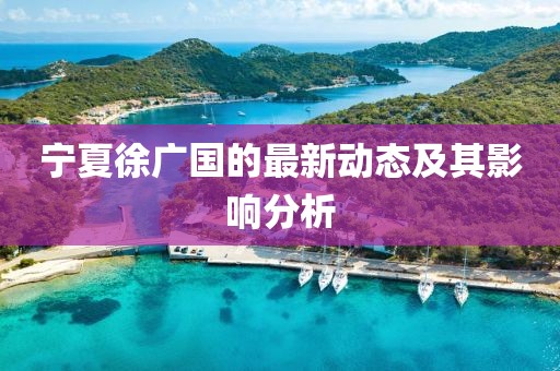 寧夏徐廣國的最新動態(tài)及其影響分析