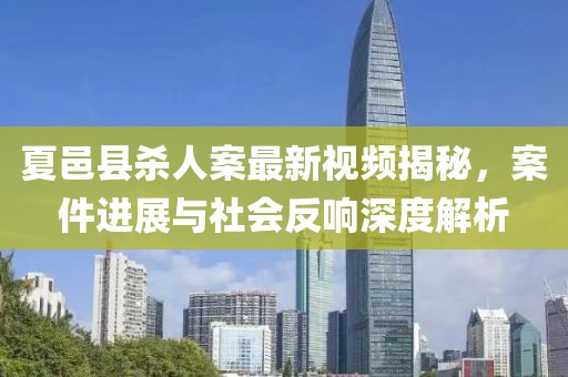 夏邑縣殺人案最新視頻揭秘，案件進展與社會反響深度解析