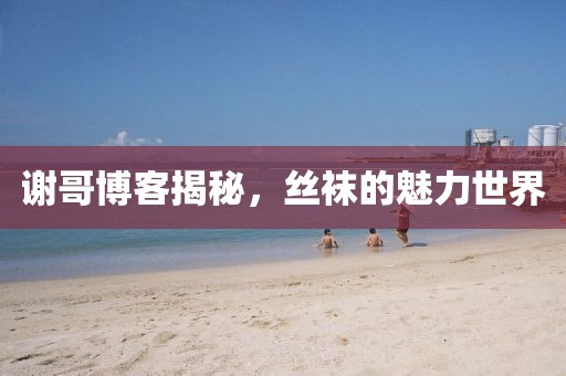 謝哥博客揭秘，絲襪的魅力世界