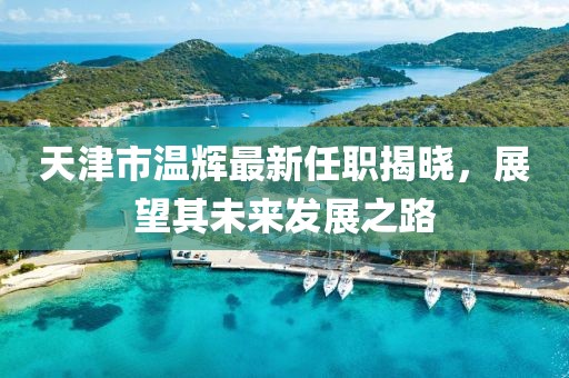 天津市溫輝最新任職揭曉，展望其未來發(fā)展之路