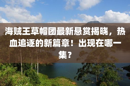 海賊王草帽團(tuán)最新懸賞揭曉，熱血追逐的新篇章！出現(xiàn)在哪一集？