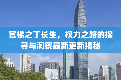 官梯之丁長(zhǎng)生，權(quán)力之路的探尋與洞察最新更新揭秘