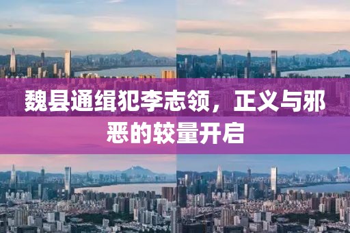 魏縣通緝犯李志領(lǐng)，正義與邪惡的較量開(kāi)啟