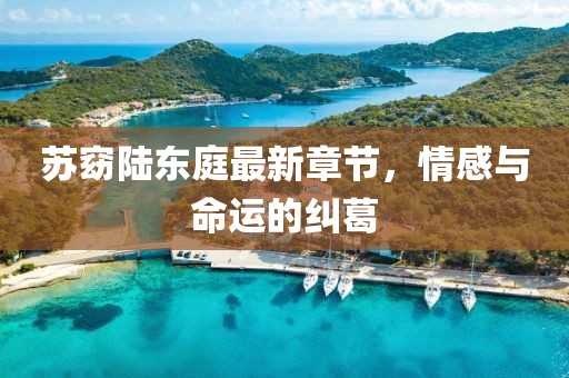 蘇窈陸東庭最新章節(jié)，情感與命運(yùn)的糾葛