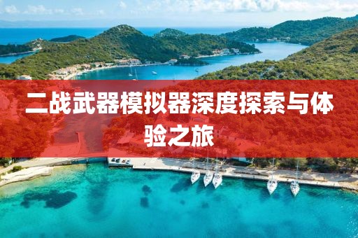 二戰(zhàn)武器模擬器深度探索與體驗(yàn)之旅