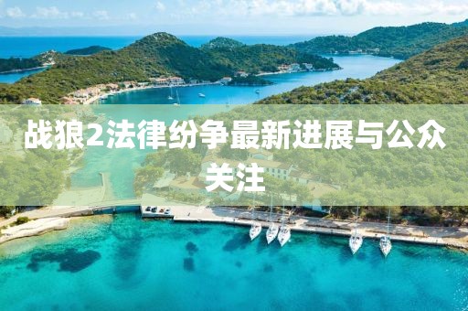 戰(zhàn)狼2法律紛爭最新進(jìn)展與公眾關(guān)注