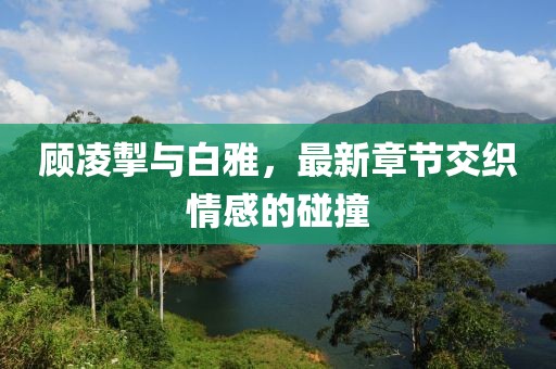 顧凌掣與白雅，最新章節(jié)交織情感的碰撞