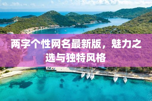 兩字個性網名最新版，魅力之選與獨特風格