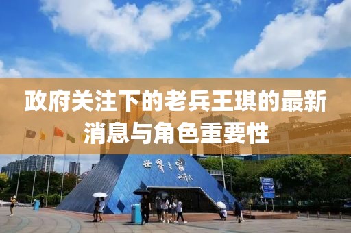 政府關(guān)注下的老兵王琪的最新消息與角色重要性