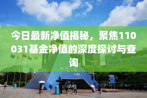 今日最新凈值揭秘，聚焦110031基金凈值的深度探討與查詢