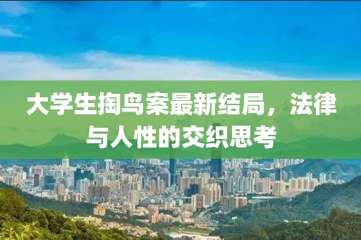 大學(xué)生掏鳥案最新結(jié)局，法律與人性的交織思考