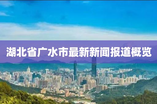湖北省廣水市最新新聞報(bào)道概覽