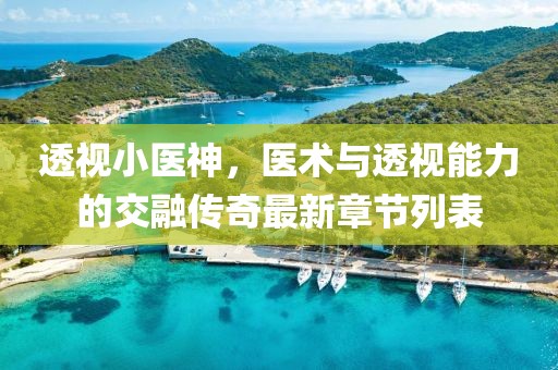 透視小醫(yī)神，醫(yī)術(shù)與透視能力的交融傳奇最新章節(jié)列表