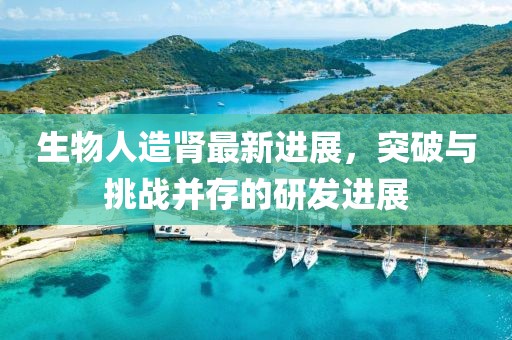 生物人造腎最新進展，突破與挑戰(zhàn)并存的研發(fā)進展