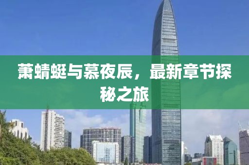 2025年3月27日 第13頁
