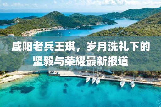 咸陽(yáng)老兵王琪，歲月洗禮下的堅(jiān)毅與榮耀最新報(bào)道