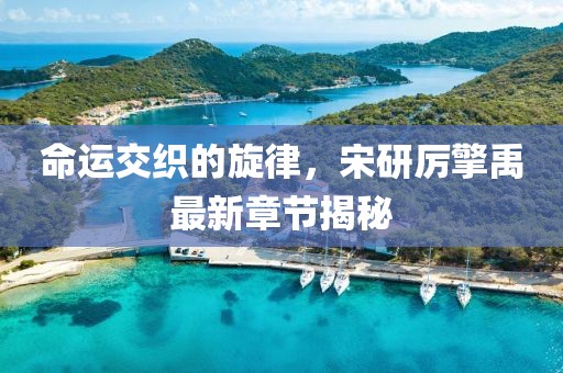 命運交織的旋律，宋研厲擎禹最新章節(jié)揭秘
