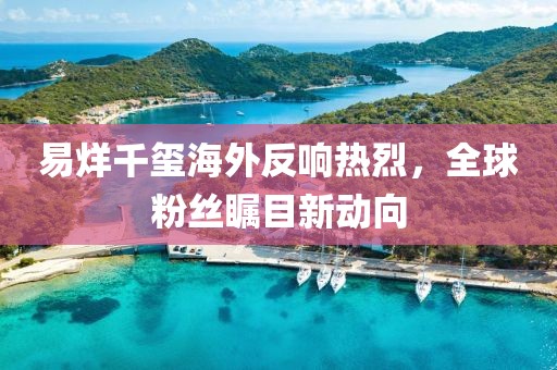 易烊千璽海外反響熱烈，全球粉絲矚目新動向