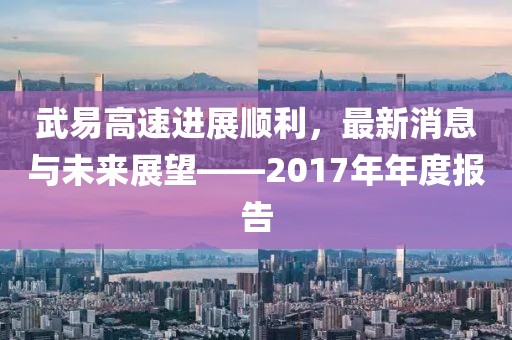 武易高速進(jìn)展順利，最新消息與未來展望——2017年年度報(bào)告