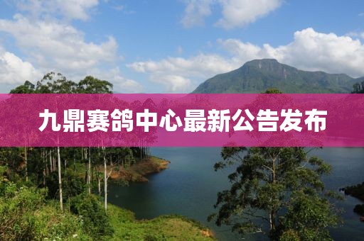 九鼎賽鴿中心最新公告發(fā)布