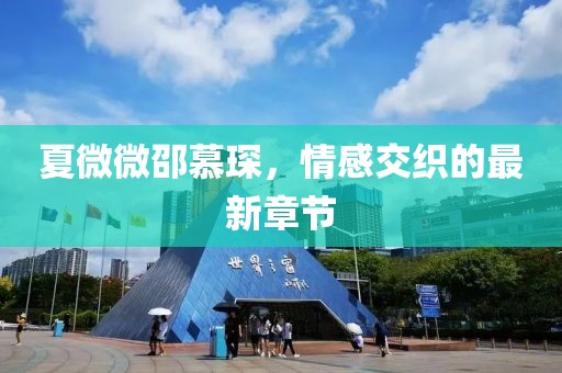夏微微邵慕琛，情感交織的最新章節(jié)