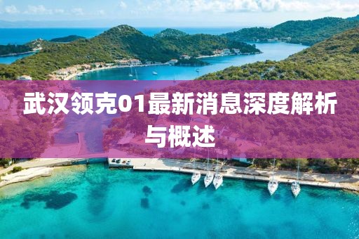 武漢領(lǐng)克01最新消息深度解析與概述