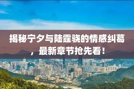 揭秘寧夕與陸霆驍的情感糾葛，最新章節(jié)搶先看！