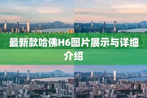 最新款哈佛H6圖片展示與詳細(xì)介紹