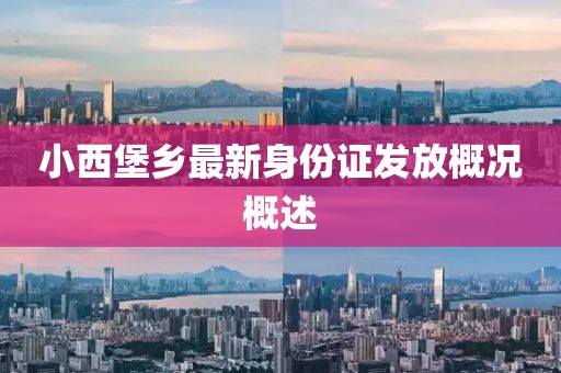 小西堡鄉(xiāng)最新身份證發(fā)放概況概述