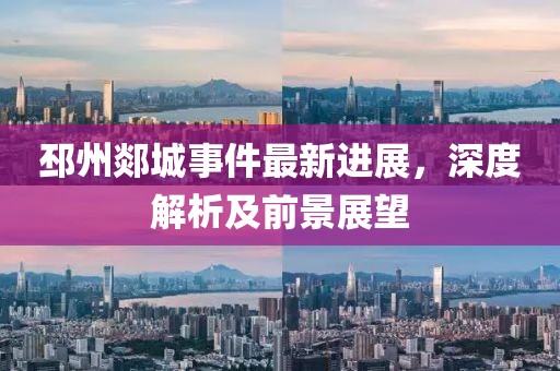 邳州郯城事件最新進(jìn)展，深度解析及前景展望