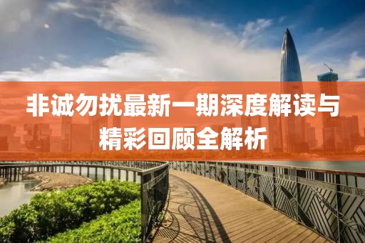 非誠(chéng)勿擾最新一期深度解讀與精彩回顧全解析