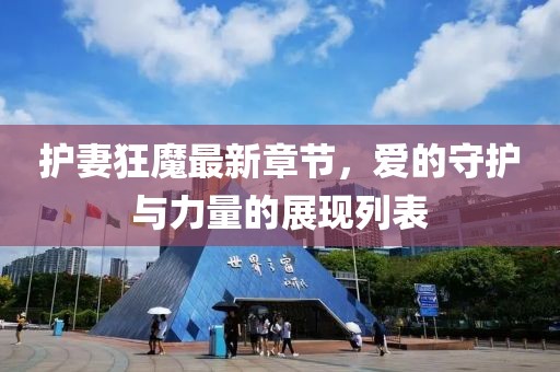 護妻狂魔最新章節(jié)，愛的守護與力量的展現列表